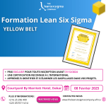 Formation lean six sigma a dakar