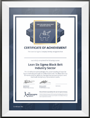 Black belt industrie