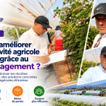 productivité agricole en Afrique