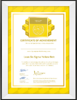 CERTIFICAT YELLOW BELT